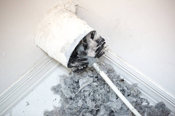 Best Local Air Duct Cleaning Services  in Obion, TN